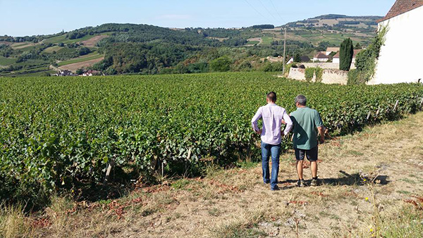Read more about the article Domaine Nicolas Perrault